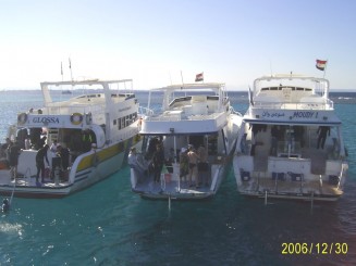 Şuba Diving la Marea Roşie