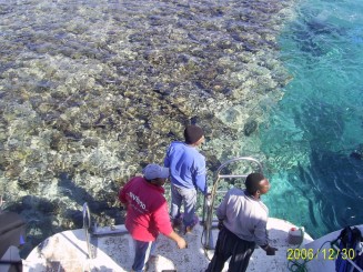 Şuba Diving la Marea Roşie