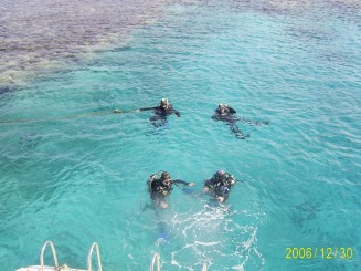 Şuba Diving la Marea Roşie