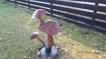 In curtea pensiunii - Opintici (ghebe)