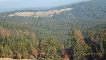 Drumul spre Suceava prin Pasul Tihuta