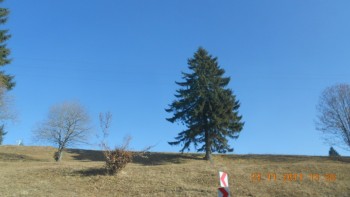 Drumul spre Suceava prin Pasul Tihuta