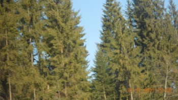 Drumul spre Suceava prin Pasul Tihuta