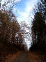 Manastirea Prislop - jud. Hunedoara