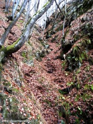 Manastirea Prislop - jud. Hunedoara