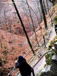 Manastirea Prislop - jud. Hunedoara