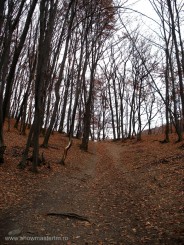 Manastirea Prislop - jud. Hunedoara