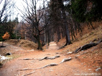 Manastirea Prislop - jud. Hunedoara