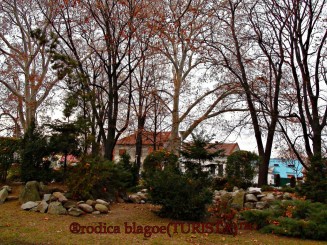 peisaj din parcul George Enescu Lugoj