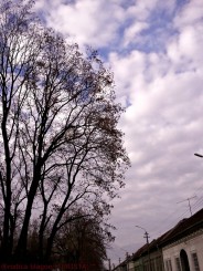 peisaj din parcul garii Lugoj