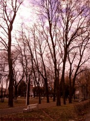 peisaj din parcul garii Lugoj