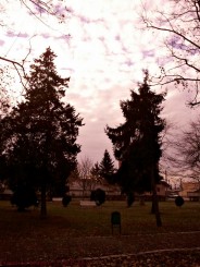peisaj din parcul garii Lugoj