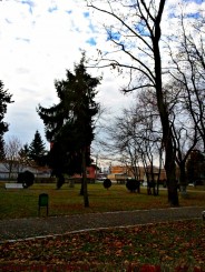 peisaj din parcul garii Lugoj
