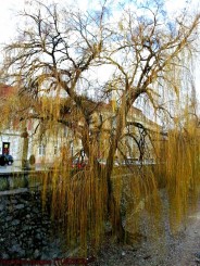 atmosfera de toamna in Lugoj