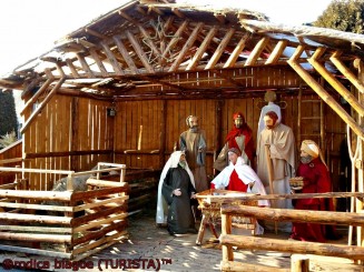 amenajarea nasterii in fata primariei din Lugoj