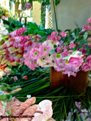 exponate flori