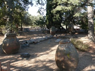 curtea de langa muzeu troia