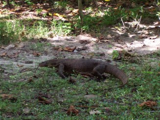 Phi Phi Islands - Thailanda