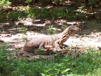 Phi Phi Islands - Thailanda