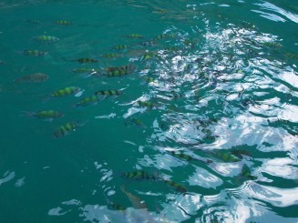 Phi Phi Islands - Thailanda