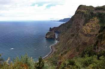 Insula Madeira - flori si drumetii