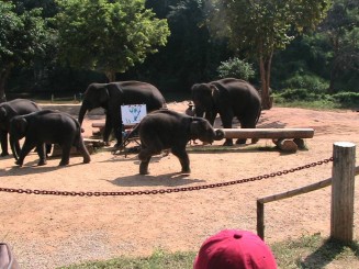 Nordul Thailandei