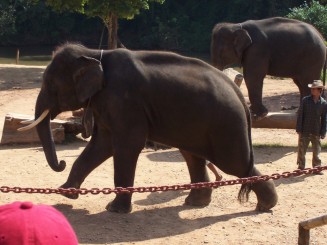 Nordul Thailandei