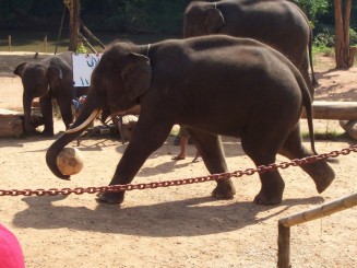 Nordul Thailandei