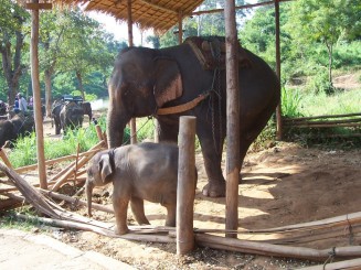 Nordul Thailandei