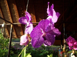 Nordul Thailandei