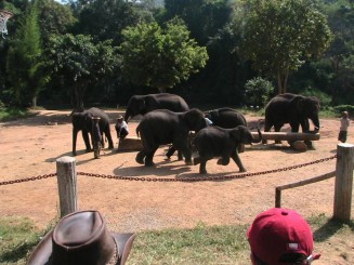 Nordul Thailandei
