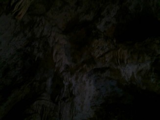 In Sala cu guano ,alaturi de lilieci.