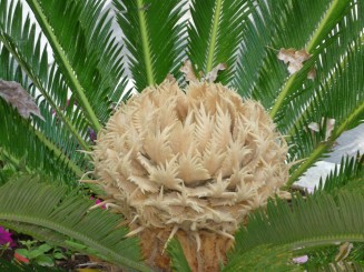 Palatul imparatesei Sissi