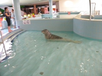 Aqua Palace - Hajduszoboszlo