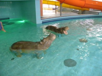 Aqua Palace - Hajduszoboszlo