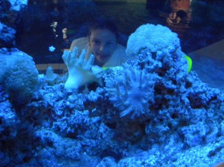 Aqua Palace - Hajduszoboszlo