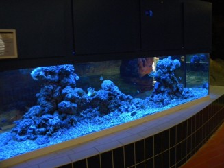 Aqua Palace - Hajduszoboszlo