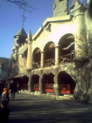 O zi in parcul de distractii