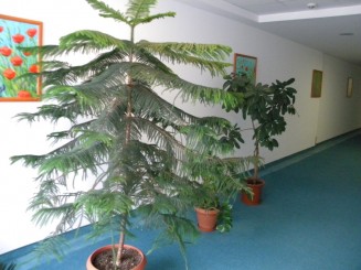 Hunguest Hotel Aqua Sol - Hajduszoboszlo