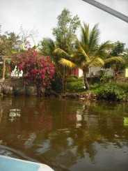 Riul Bentota