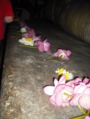 Flori pentru Buddha