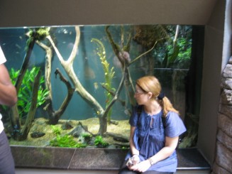 Biodomul din Montreal