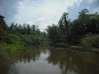 In drum