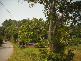 In drum