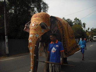 Al V-lea elefant