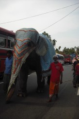 Al III-lea elefant