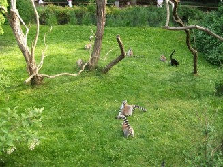 praga-Gradina Zoo