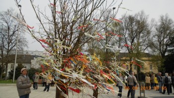 O plimbare matinala in Linz - Capitala culturala a Eurpei in 2009