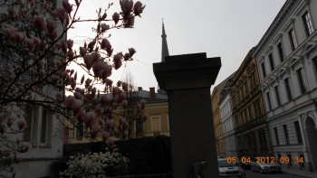 O plimbare matinala in Linz - Capitala culturala a Eurpei in 2009