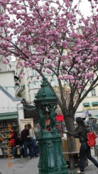 Fantana din fata Librariei Shakespeare & Co